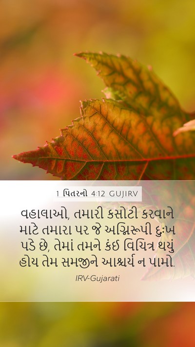 1 પિતરનો 4:12 GUJIRV Bible Verse Image