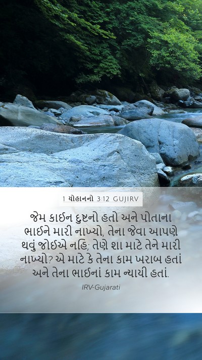 1 યોહાનનો 3:12 GUJIRV Bible Verse Image