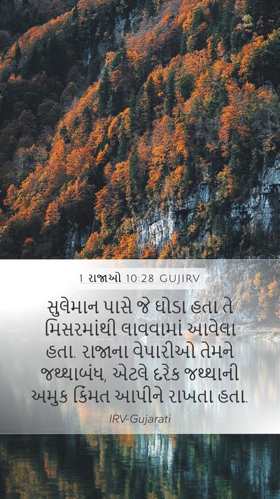 1 રાજાઓ 10:28 GUJIRV Bible Verse Image