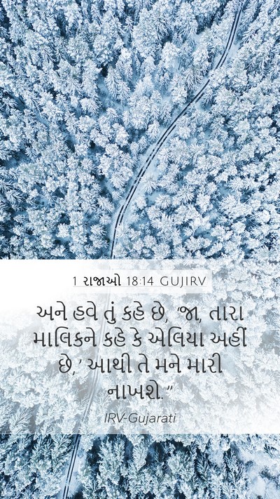 1 રાજાઓ 18:14 GUJIRV Mobile Phone Wallpaper - અને હવે તું કહે છે, - Mobile Bible Verse Wallpaper