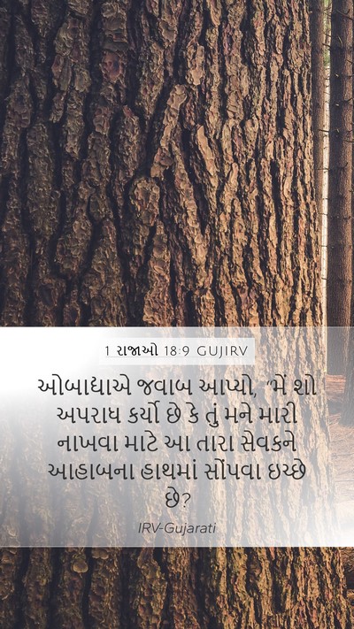 1 રાજાઓ 18:9 GUJIRV Mobile Phone Wallpaper - ઓબાદ્યાએ જવાબ - Mobile Bible Verse Wallpaper