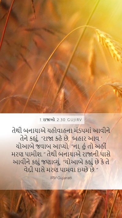 1 રાજાઓ 2:30 GUJIRV Bible Verse Image