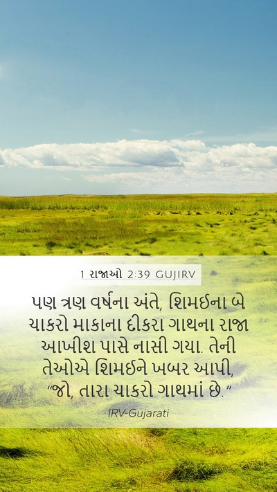1 રાજાઓ 2:39 GUJIRV Bible Verse Image