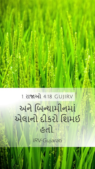 1 રાજાઓ 4:18 GUJIRV Bible Verse Image