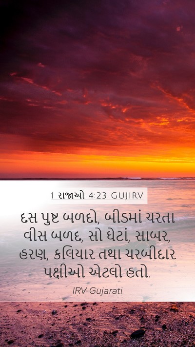 1 રાજાઓ 4:23 GUJIRV Bible Verse Image