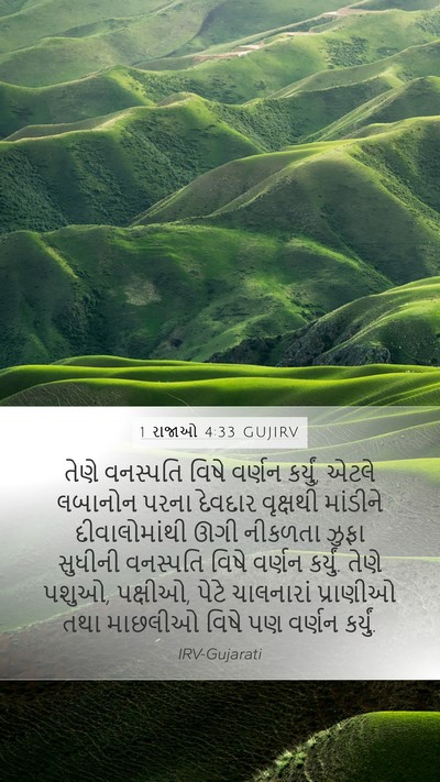 1 રાજાઓ 4:33 GUJIRV Bible Verse Image