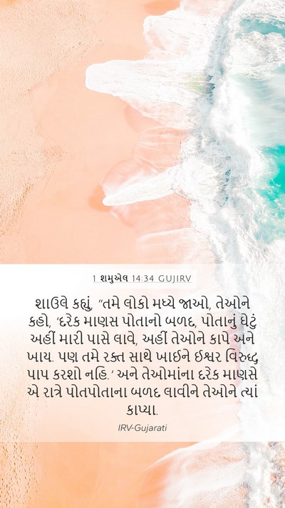 1 શમુએલ 14:34 GUJIRV Mobile Phone Wallpaper - શાઉલે કહ્યું, “તમે - Mobile Bible Verse Wallpaper