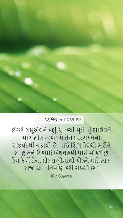 1 શમુએલ 16:1 GUJIRV Bible Verse Image
