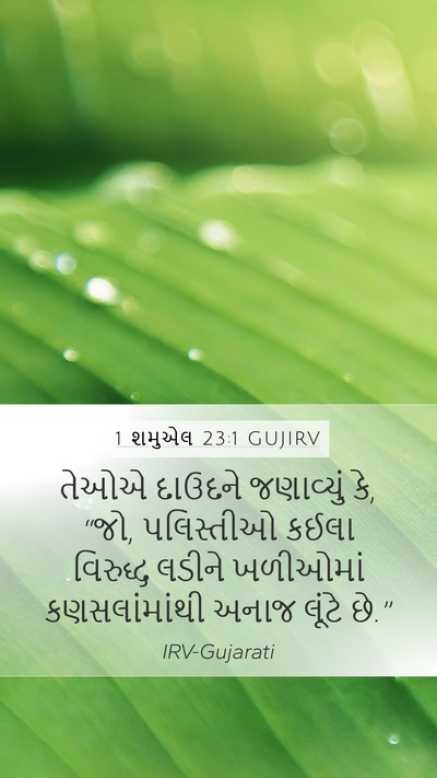 1 શમુએલ 23:1 GUJIRV Mobile Phone Wallpaper - તેઓએ દાઉદને - Mobile Bible Verse Wallpaper