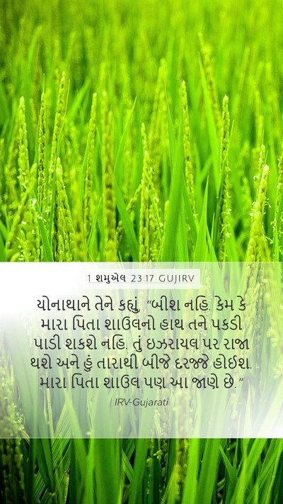 1 શમુએલ 23:17 GUJIRV Bible Verse Image