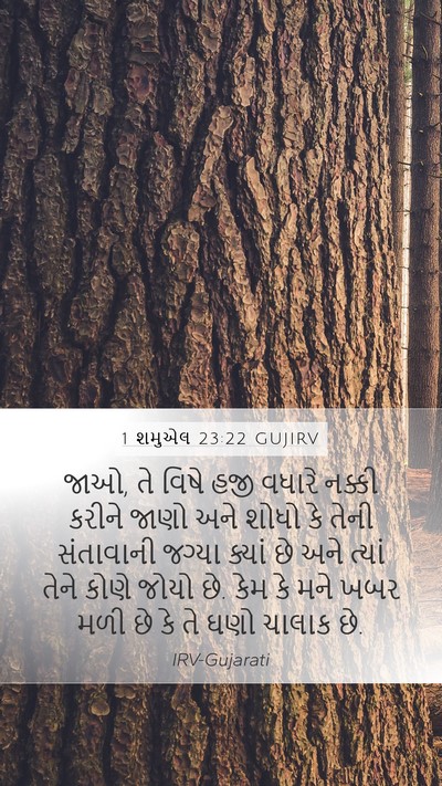 1 શમુએલ 23:22 GUJIRV Bible Verse Image
