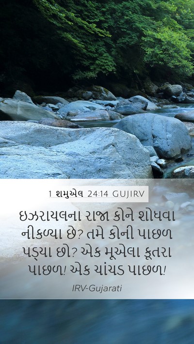 1 શમુએલ 24:14 GUJIRV Bible Verse Image