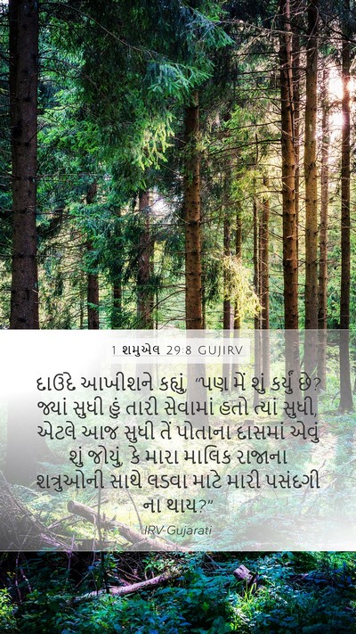 1 શમુએલ 29:8 GUJIRV Mobile Phone Wallpaper - દાઉદે આખીશને - Mobile Bible Verse Wallpaper