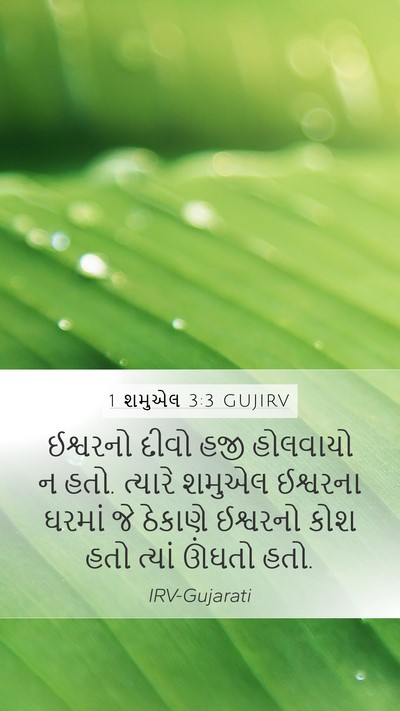 1 શમુએલ 3:3 GUJIRV Bible Verse Image