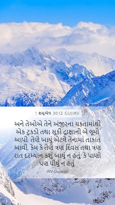 1 શમુએલ 30:12 GUJIRV Bible Verse Image