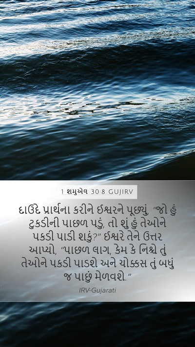 1 શમુએલ 30:8 GUJIRV Bible Verse Image
