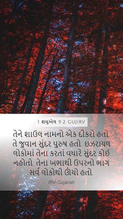 1 શમુએલ 9:2 GUJIRV Bible Verse Image