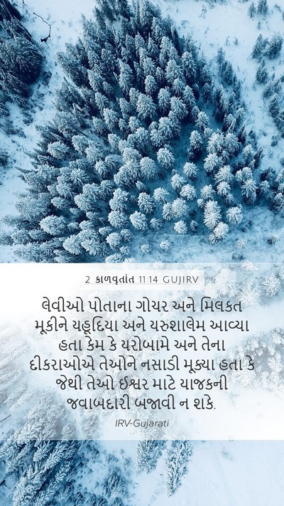 2 કાળવૃતાંત 11:14 GUJIRV Bible Verse Image