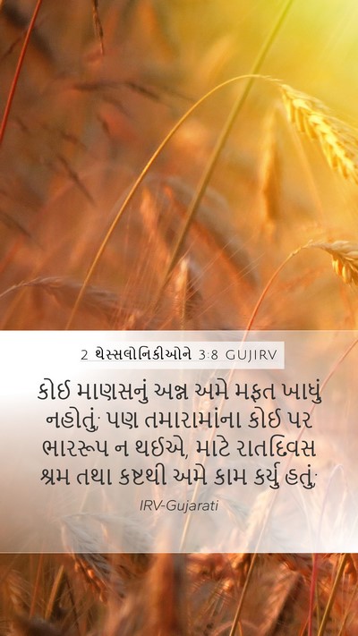 2 થેસ્સલોનિકીઓને 3:8 GUJIRV Bible Verse Image