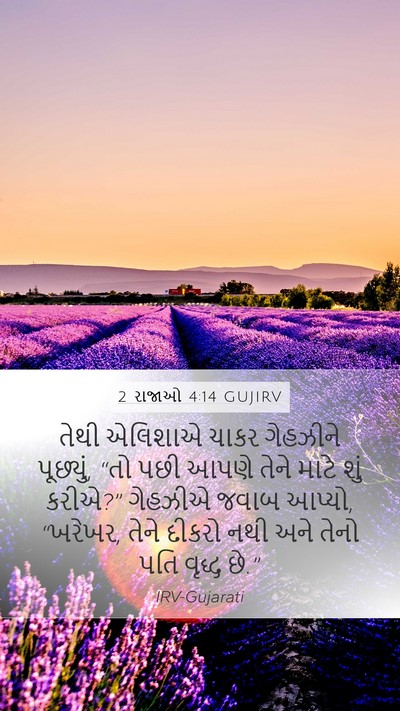 2 રાજાઓ 4:14 GUJIRV Bible Verse Image