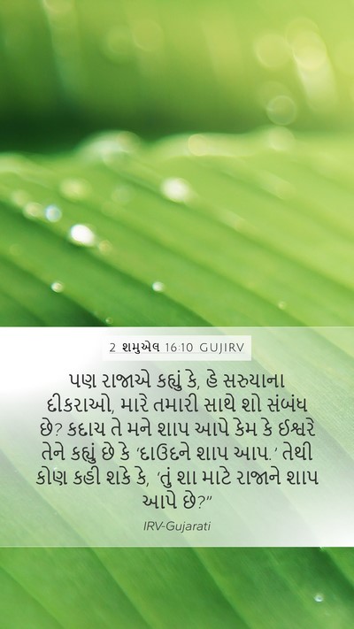 2 શમુએલ 16:10 GUJIRV Bible Verse Image