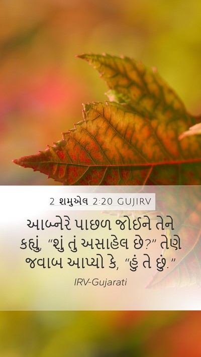 2 શમુએલ 2:20 GUJIRV Mobile Phone Wallpaper - આબ્નેરે પાછળ - Mobile Bible Verse Wallpaper