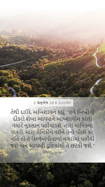 2 શમુએલ 20:6 GUJIRV Bible Verse Image