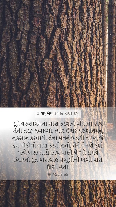 2 શમુએલ 24:16 GUJIRV Bible Verse Image