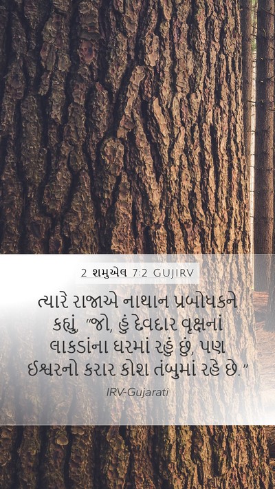 2 શમુએલ 7:2 GUJIRV Bible Verse Image