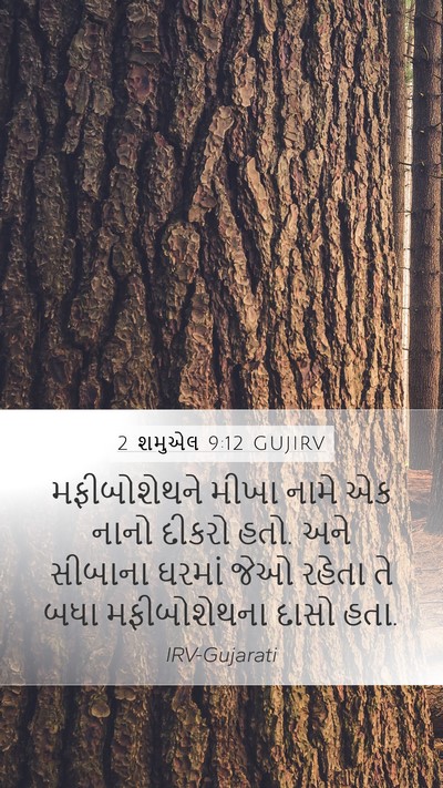 2 શમુએલ 9:12 GUJIRV Bible Verse Image