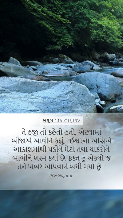 અયૂબ 1:16 GUJIRV Bible Verse Image