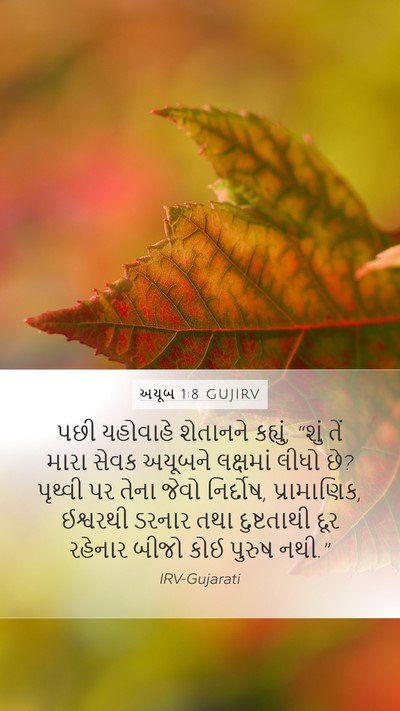 અયૂબ 1:8 GUJIRV Bible Verse Image