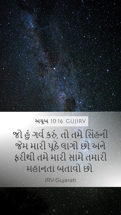 અયૂબ 10:16 GUJIRV Bible Verse Image