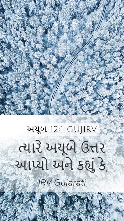 અયૂબ 12:1 GUJIRV Mobile Phone Wallpaper - ત્યારે અયૂબે - Mobile Bible Verse Wallpaper