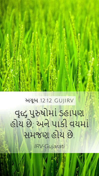 અયૂબ 12:12 GUJIRV Bible Verse Image