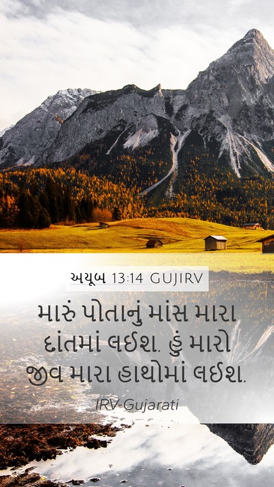 અયૂબ 13:14 GUJIRV Bible Verse Image