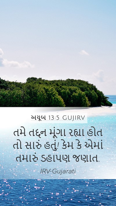 અયૂબ 13:5 GUJIRV Bible Verse Image