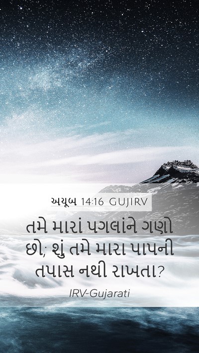 અયૂબ 14:16 GUJIRV Bible Verse Image