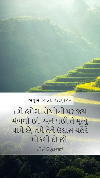 અયૂબ 14:20 GUJIRV Bible Verse Image