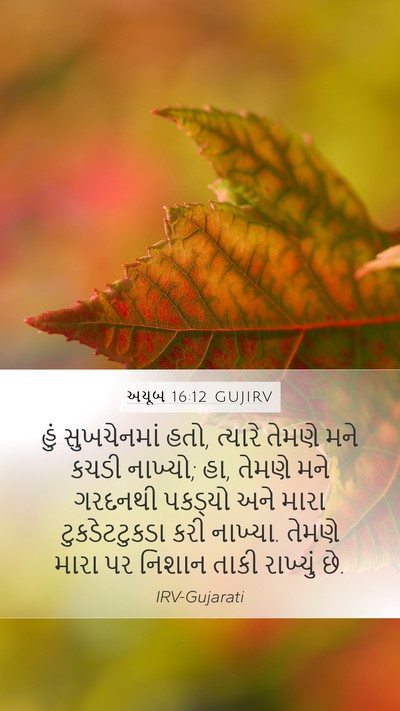 અયૂબ 16:12 GUJIRV Bible Verse Image