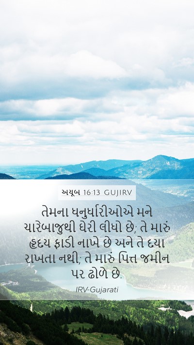 અયૂબ 16:13 GUJIRV Bible Verse Image