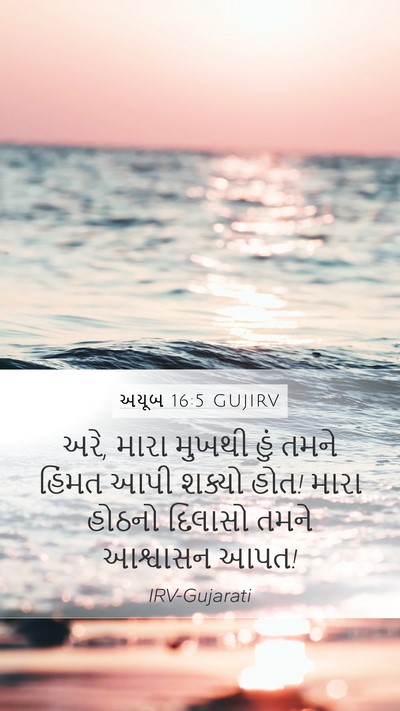 અયૂબ 16:5 GUJIRV Bible Verse Image