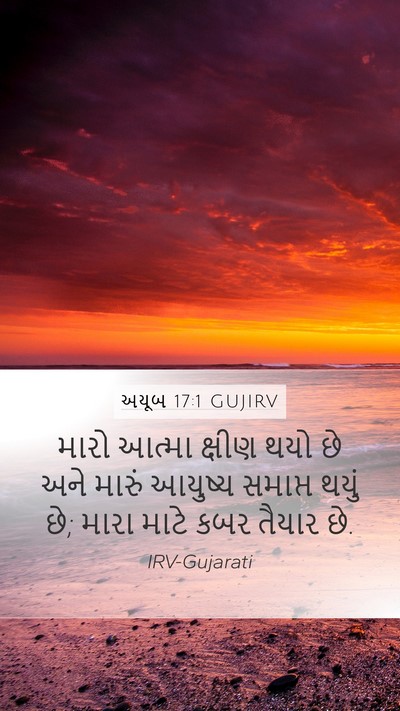 અયૂબ 17:1 GUJIRV Mobile Phone Wallpaper - મારો આત્મા ક્ષીણ - Mobile Bible Verse Wallpaper