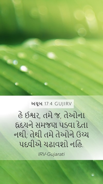 અયૂબ 17:4 GUJIRV Bible Verse Image