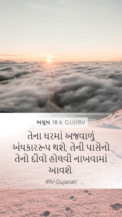અયૂબ 18:6 GUJIRV Bible Verse Image