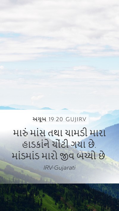અયૂબ 19:20 GUJIRV Bible Verse Image