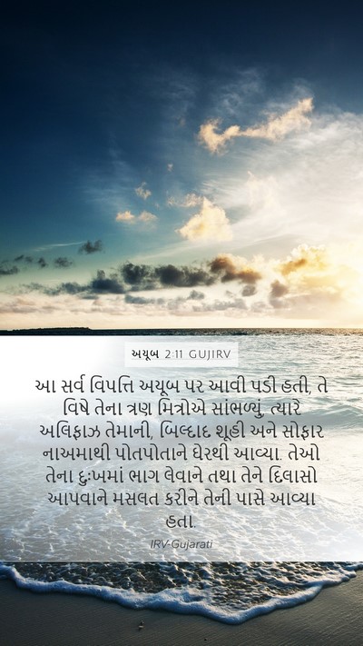 અયૂબ 2:11 GUJIRV Bible Verse Image