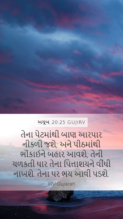 અયૂબ 20:25 GUJIRV Bible Verse Image