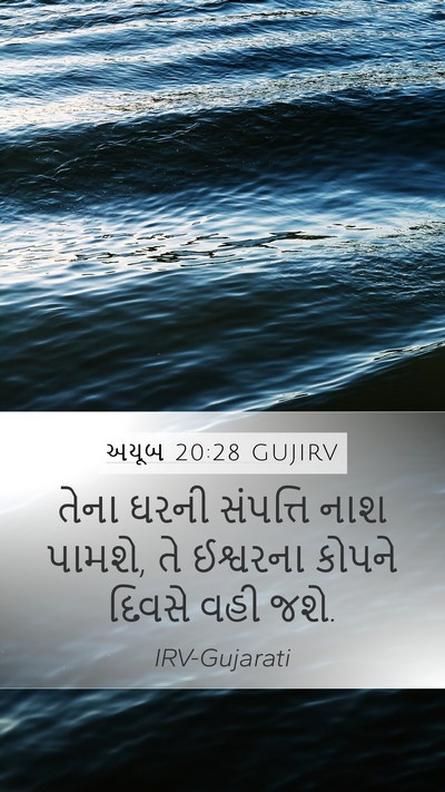 અયૂબ 20:28 GUJIRV Bible Verse Image
