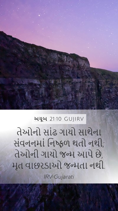 અયૂબ 21:10 GUJIRV Bible Verse Image